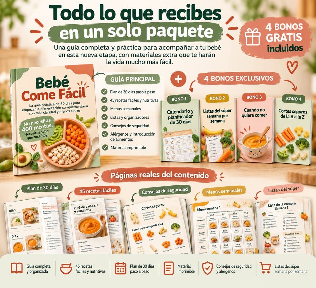 La guía principal, los 4 bonos y ejemplos de sus páginas